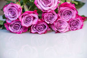 Bouquet of purple roses on white background. Flower background. Mothers Day, Wedding and Birthday concept.