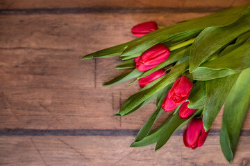 Red tulips on a wooden background, copy space