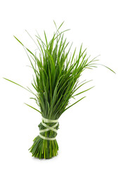 Bunch of green grass.