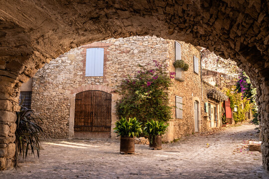 Old building with plants on street