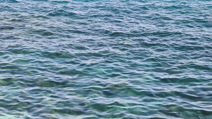 Fototapeta premium Savona, Italy - February 12, 2022: Panorama of the blue sea, light above the water, ocean sunrise. Some little waves in winter days. Long trees near the beach.