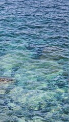 Savona, Italy - February 12, 2022: Panorama of the blue sea, light above the water, ocean sunrise. Some little waves in winter days. Long trees near the beach.