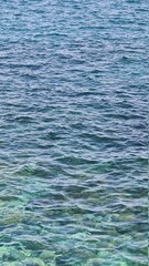 Savona, Italy - February 12, 2022: Panorama of the blue sea, light above the water, ocean sunrise. Some little waves in winter days. Long trees near the beach.