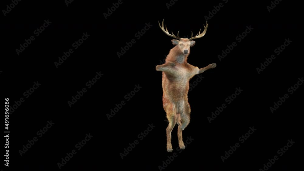 Fototapete deer dancing cg fur 3d rendering animal realistic cgi vfx animation loop composition 3d mapping cart