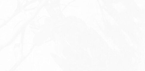 Abstract blurred background. reflection of leaves and gray light lines. reflected on the white concrete wall.