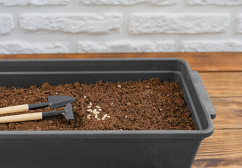 Cultivation tray with rake, shovel and cucumber seeds on wooden table. Ecology, gardening and leisure concept. Shallow depth of field. Close-up view.