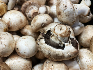 Fototapeta premium Bulk mushrooms for sale in the market