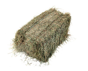 hay bale in studio © cynoclub