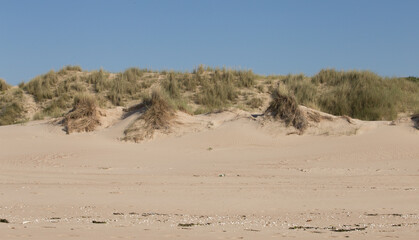 french dunes