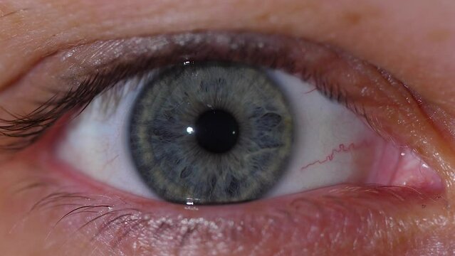 Close-up of the contraction of the gray pupil of the human eye in slow-motion