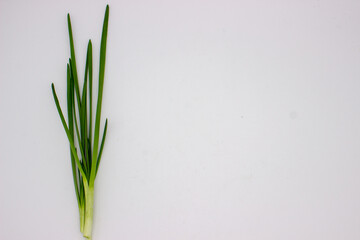 Green onions on white background
