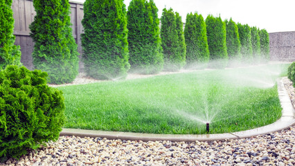 Sprinklers watering grass, green lawn in garden - obrazy, fototapety, plakaty