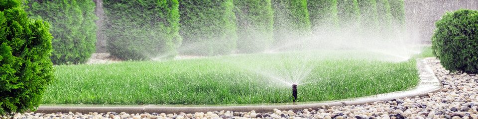 Sprinklers watering grass, green lawn in garden