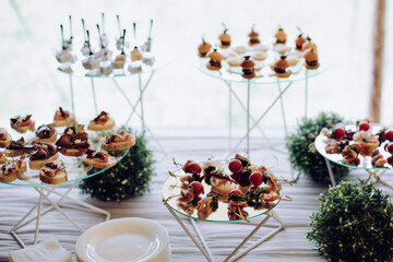 Wedding appetizers on the table. Catering outdoor service