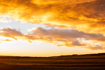 sunset over the field