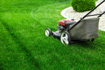 Lawn mower cutting green grass in backyard, mowing lawn
