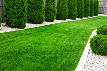 Backyard with natural green grass, fresh lawn 