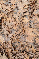 stone wall texture