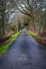 Fototapeta premium path in the park