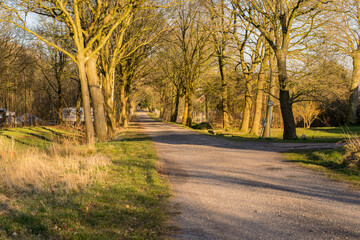 Obraz premium road in the autumn