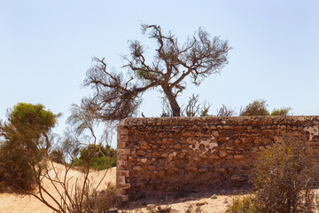 Ruins of the ancient palace Dar Es-Sultan near Essaouira. Morocco. Built in late 18th c., it was...