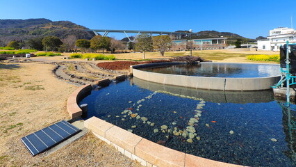 Fototapeta premium 国営明石海峡公園 移ろいの庭2