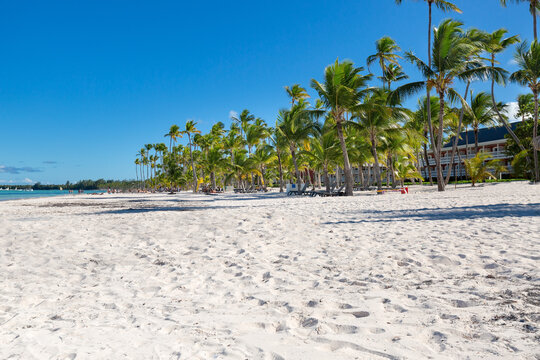 Dominican republic, sandy beach Bibijagua, copy space