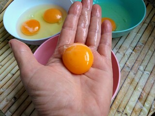 egg yolk in a bowl - obrazy, fototapety, plakaty