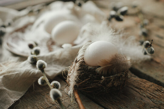 Rustic Easter still life. Natural egg in nest with feathers, vintage plate,  pussy willow branches and napkin on aged wood. Easter table decoration. Moody image
