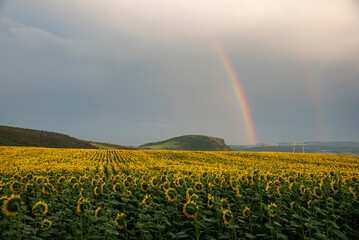Summer storm and rainbow