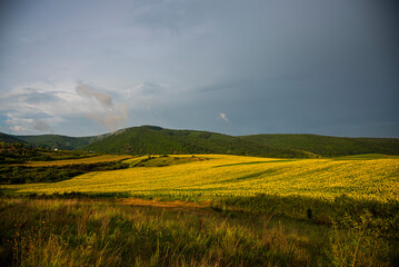 Obraz premium Landscape with rainbow