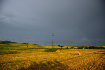 Fototapeta na wymiar Landscape with rainbow