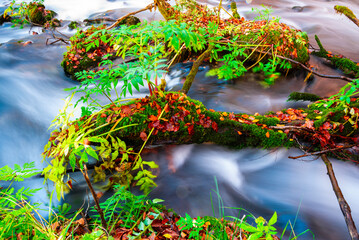 Autumn view with wild river , long exposure