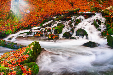 Autumn view with wild river , long exposure