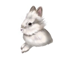 Watercolor realistic white rabbit. Illustration of a bunny. bunny peeks out