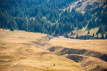 landscape in the mountains