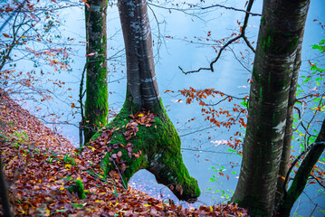 Autumn landscape