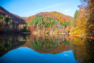 Fototapeta na wymiar Autumn landscape