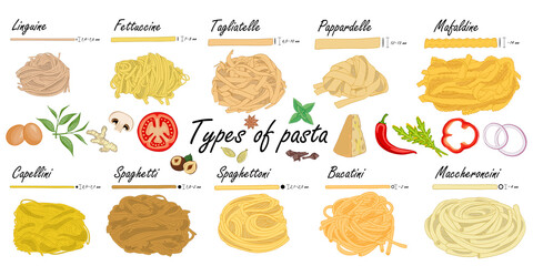 Types of pasta. Long pasta difference, illustration example.