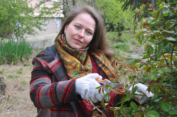 Young woman pruning a bush in the yard of the house