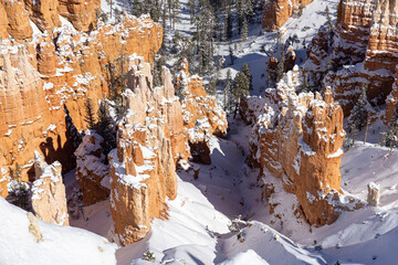 Snow Covered Landscape in Bryce canyon National Park Utah in Winter