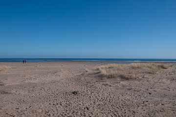 Beautiful sunny day with clear blue sky on an empty sandy beach. Tentsmuir forest, Fife, coast of Scotland 