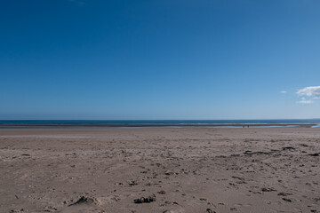 Beautiful sunny day with clear blue sky on an empty sandy beach. Tentsmuir forest, Fife, coast of Scotland 