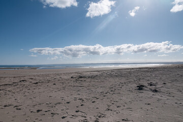 Beautiful sunny day on an empty sandy beach. Tentsmuir forest, Fife, coast of Scotland 