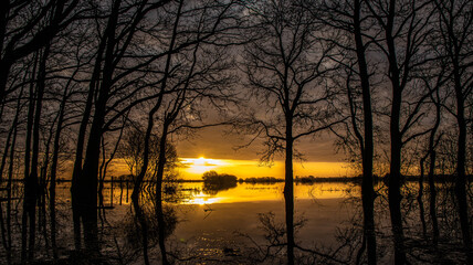 Coucher de soleil sur le marais