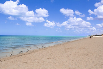 Fototapeta na wymiar Progreso Beach and its beautiful blue sky
