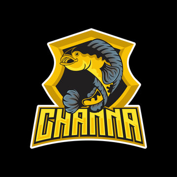 Channa pulchra fish mascot. esport logo design