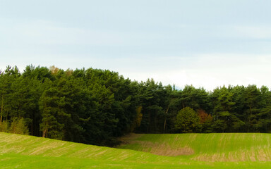 Green field and hills. Nature of northern Poland.