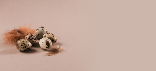 Easter background with natural color eggs and brown feathers