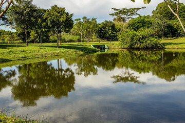 Fototapeta premium Paisagem de um parque muito arborizado e um lago, na cidade de Goiânia. Parque Leolidio di Ramos Caiado.